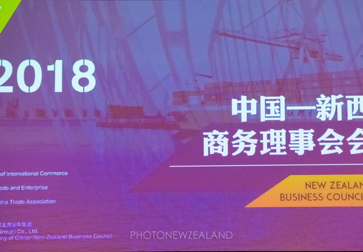 （358）中国－新西兰商务理事会会议