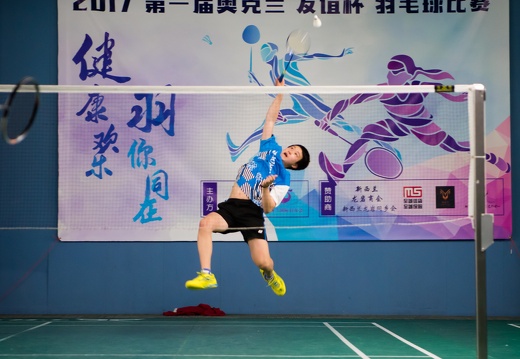 （310）华人羽毛球赛